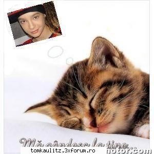 iubesc tom fapt mica copie(my aproape lafel    